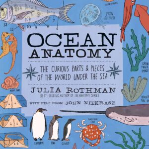 Ocean Anatomy