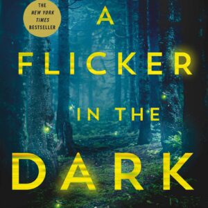 Flicker In The Dark: A Novel
