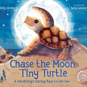 Chase The Moon, Tiny Turtle: Hatchling's Sea Race