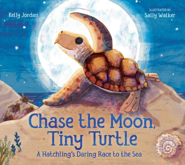 Chase The Moon, Tiny Turtle: Hatchling's Sea Race