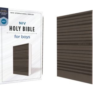 NIV, Holy Bible For Boys